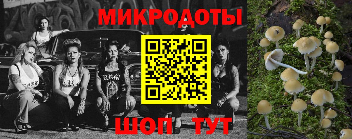 Галлюциногенные грибы Psilocybe  Вход с VPN  наркошоп  Псилоцибиновые грибы Psilocybine cubensis  Великие Луки 